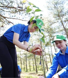 Ngày Trái Đất, SASCO trồng thêm cây xanh cho Đà Lạt